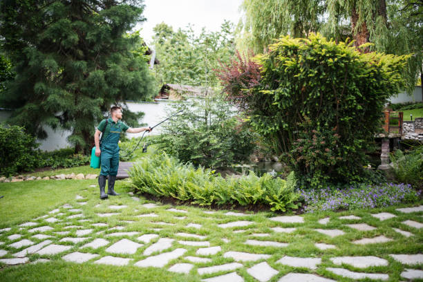 Best Lawn Drainage Solutions  in Kennesaw, GA