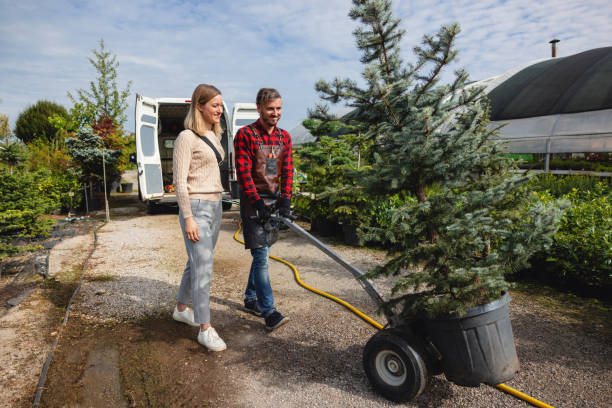 Best Hazardous Tree Removal  in Kennesaw, GA